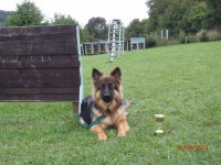 /album/fotogaleria-galeria/p9212560-jpg/