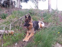 /album/fotogaleria-galeria/a20150613-180243-jpg/