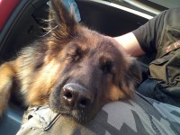 /album/fotogaleria-galeria/a20150912-183426-jpg/